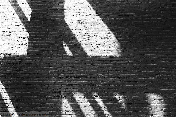 F. Kline's Spirit IMG_2843
