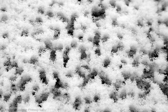 IMG_1093 BW levels Contrast sharpen