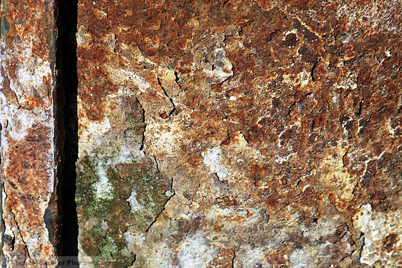 IMG_2783 cropped and PS final