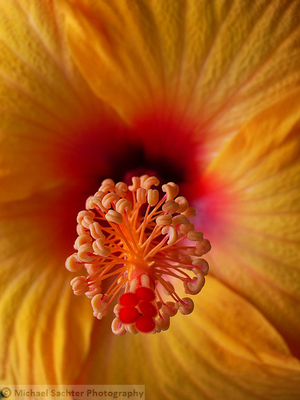 various june 12 20098