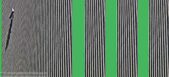 Urban Bamboo -Green
