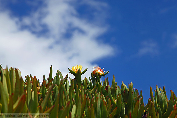 IMG_1462 v1