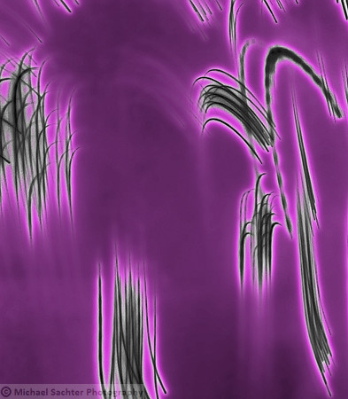 Chinois Reeds 2