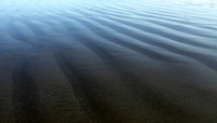 IMG_2244 a