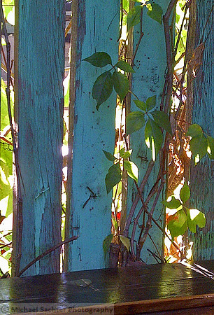 Sunday Patio Fence