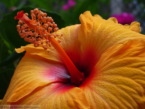 various june 12 200912