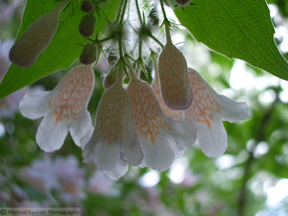 various june 12 200917